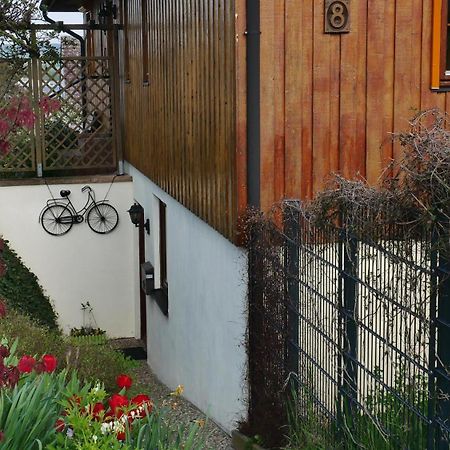 Ferienwohnung An Den Weingaerten Langenlonsheim Ngoại thất bức ảnh